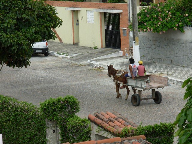Brazil 2006 - 003
